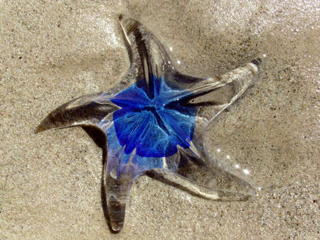 Blue glass starの写真素材