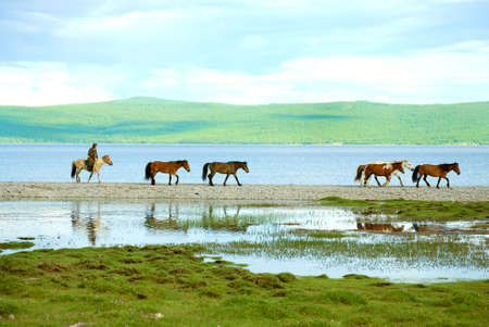 Sherpherd by a lake in northern Mongoliaの写真素材