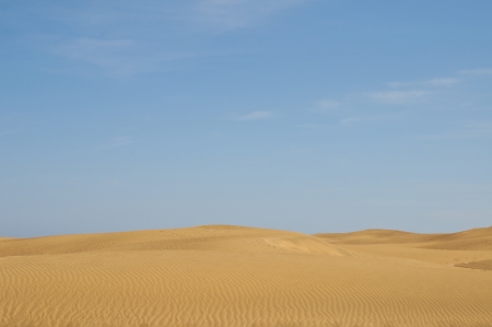 Spain, dune, maspalomas, sand, atlantic ocean, canary island, gran cararia, natural landmark, nature, desert, beach, sunrise, skyline, vacation, travel, playa, sun, sky, wave, horizon, grand, natural, wilderness, golden, curves, land, safari, hot, ocean, の写真素材