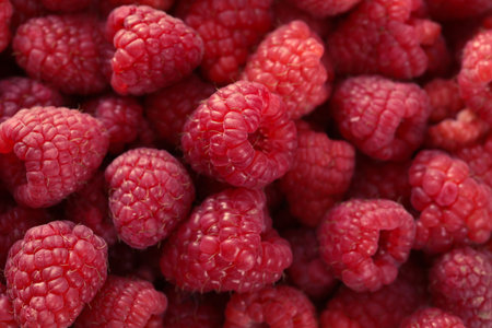 background of fresh raspberries. macro. close-up.