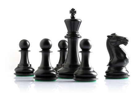 Black chess pieces isolated on white background. Conceptual photo of business strategy, leadership and success.の写真素材