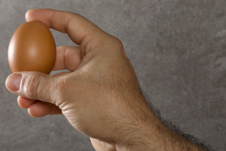 Man's hand holds a brown chicken egg on a gray background.の写真素材