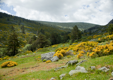 Mountain valley in spring.の写真素材