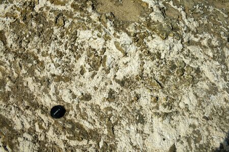 Soil textures in Desert Tabernas.のeditorial素材