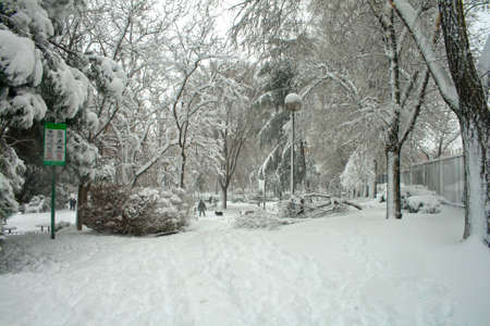 ALCOBENDAS, SPAIN / January 9, 2021: Historic snowfall in central Spain, seriously affecting Madrid and its surroundings. The lack of means causes chaos and blocks most of the streets and infrastructureの写真素材