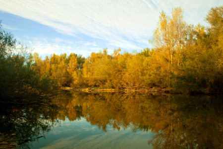 October autumn forest reflected in the calm waters of a lake makes a mirror effect. Belvis de Jarama, Madrid, Spainの写真素材