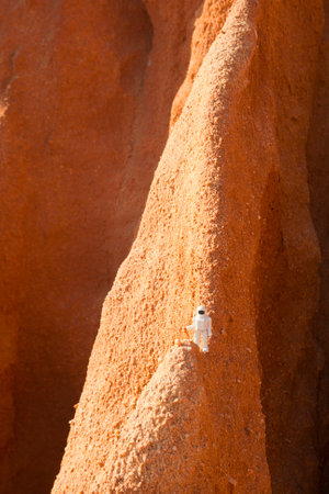 astronaut exploring mars, concept whith a plastic toy
