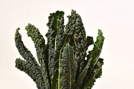 Bunch of Kale