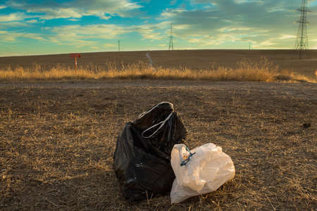Garbage bags in the clean forest with a sunset in the backgroundの写真素材