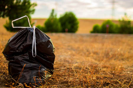 Garbage bags in the clean forest with a sunset in the backgroundの写真素材