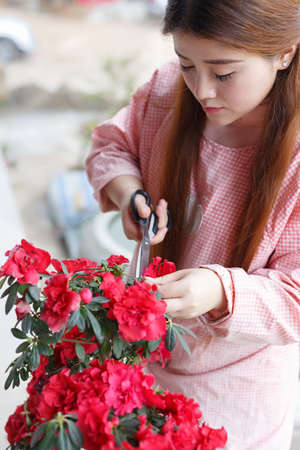 An Asian girl is trimming the cuckoo,