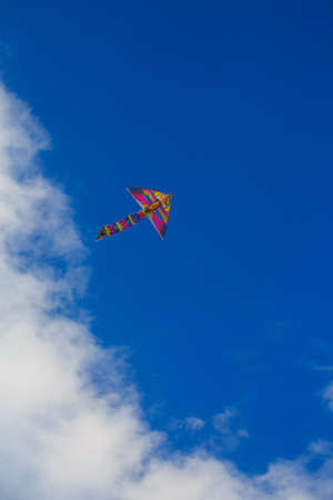 Kite flying in the blue sky and white cloudsの写真素材