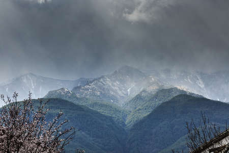 cherry blossoms and snow capped mountains sceneryの写真素材