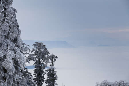 winter