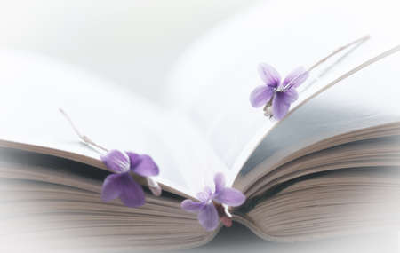 Violet flower and open book, art backgroundの写真素材