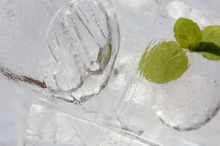 A mint leaf that is frozen in ice cubes.の写真素材