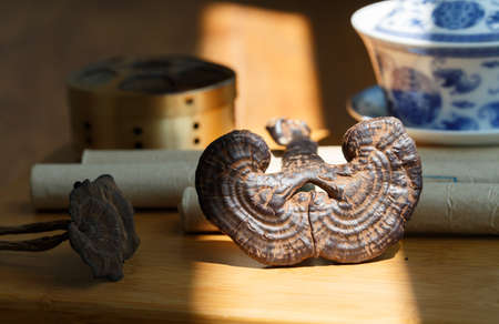 Traditional Chinese medicine health care products, Ganoderma lucidumの写真素材