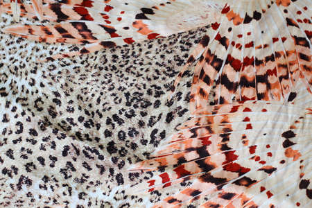 Local Leopard Print Scarf