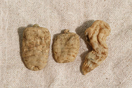 Traditional Chinese medicine Gastrodia elataの写真素材