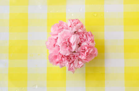 Carnation bouquet, mother's Day flowerの写真素材