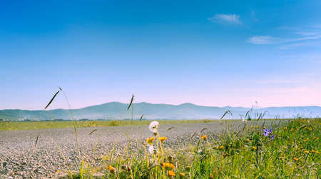 A stretch of highway on the prairieの写真素材