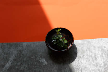 A green peppermint in the sunの写真素材