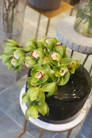 The vase is lined with white flowersの写真素材