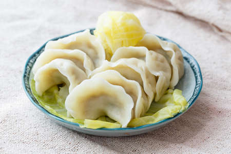A plate of Chinese   dumplings and cabbageの写真素材