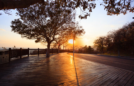 Wooden walkway in the park with sunset background, Thailand.の写真素材