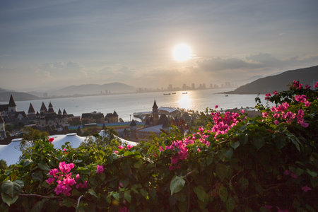 Beautiful view of hong kong at sunset with pink flowersの写真素材
