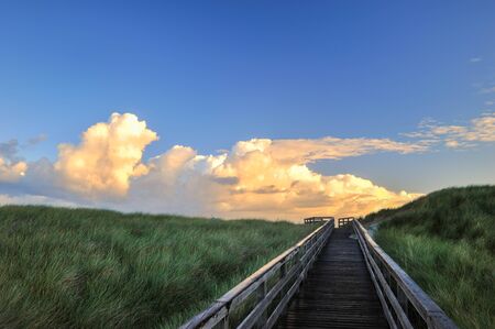 boardwalk through dunes Island Sylt Germany の写真素材