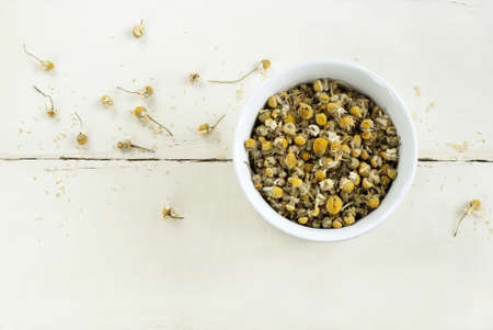 dry camomile の写真素材