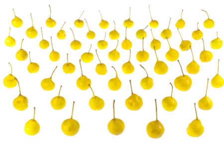 bio pears isolated on white