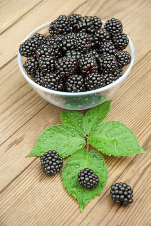blackberries in bowl and leaves