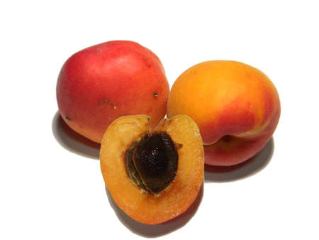 Apricot on a white backgroundの写真素材