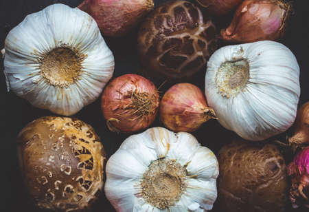 garlic mushroom onionの写真素材