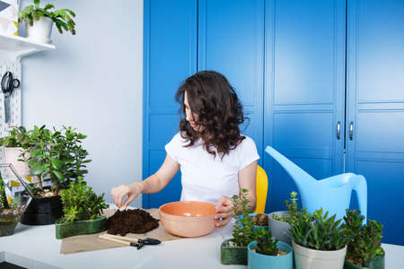 Side view of smiling young brunette curly hair Caucasian woman replanting houseplants, cheerful millennial female gardener take care of domestic succulents, enrich cultivate ground, gardening conceptの写真素材