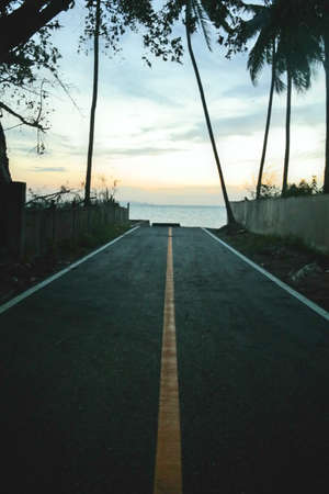 Road Sunset Coconutの写真素材
