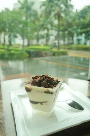 Dessert rain tree backgroundの写真素材