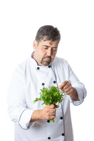 male chef holding a fresh bunch of parsley standing isolated on a white backgroundの写真素材
