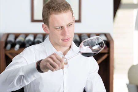 young man on a wine tasting session on the visual phase examining the wine with lifted wineglass at a restaurant - focus on the man faceの写真素材