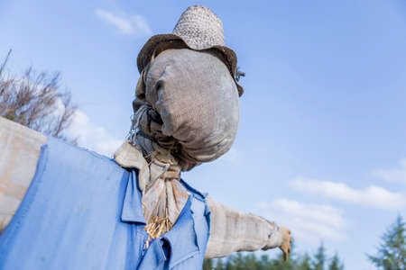 detail of a scarecrow at the garden at the countryside - focus on the headの写真素材
