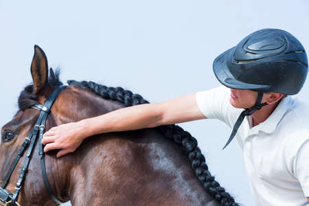 closeup of a young man is caressing his brown horse - focus on the faceの写真素材