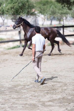 young man is training horse on a dressage session at the stable - focus on the boy headの写真素材