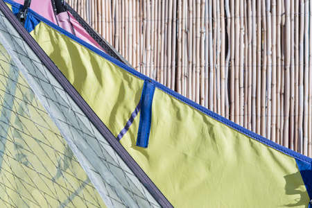 windsurf sails over a reeds background - useful as a background - focus on the center of the image