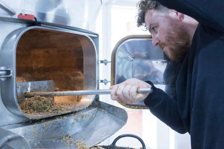 side view of worker taking malt out of furnace using shovel on a craft beer elaboration process