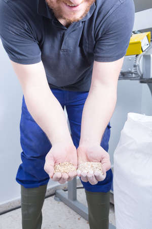 Unrecognizable bearded man with hands full of dried and fresh malt seeds.