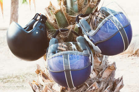 Close-up of black and blue helmets hanging on palm tree trunk in daylight