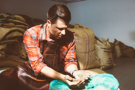 Portrait of master of coffee looking at coffee beans in handsの写真素材