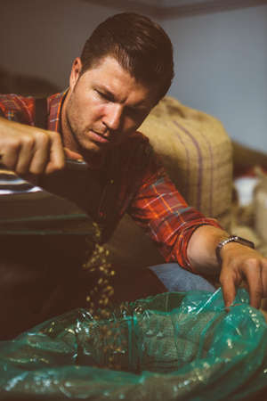 Portrait of adult man pouring raw coffee beans in bagの写真素材